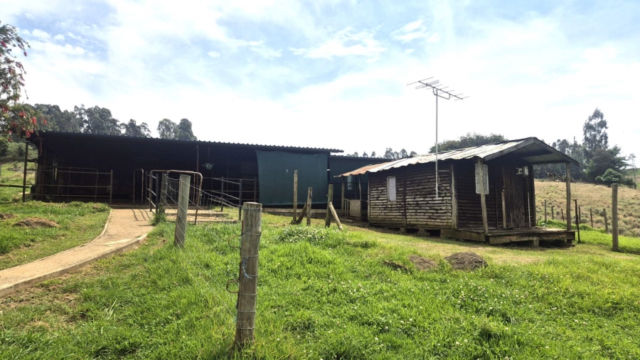 4 Bedroom Property for Sale in Currys Post KwaZulu-Natal