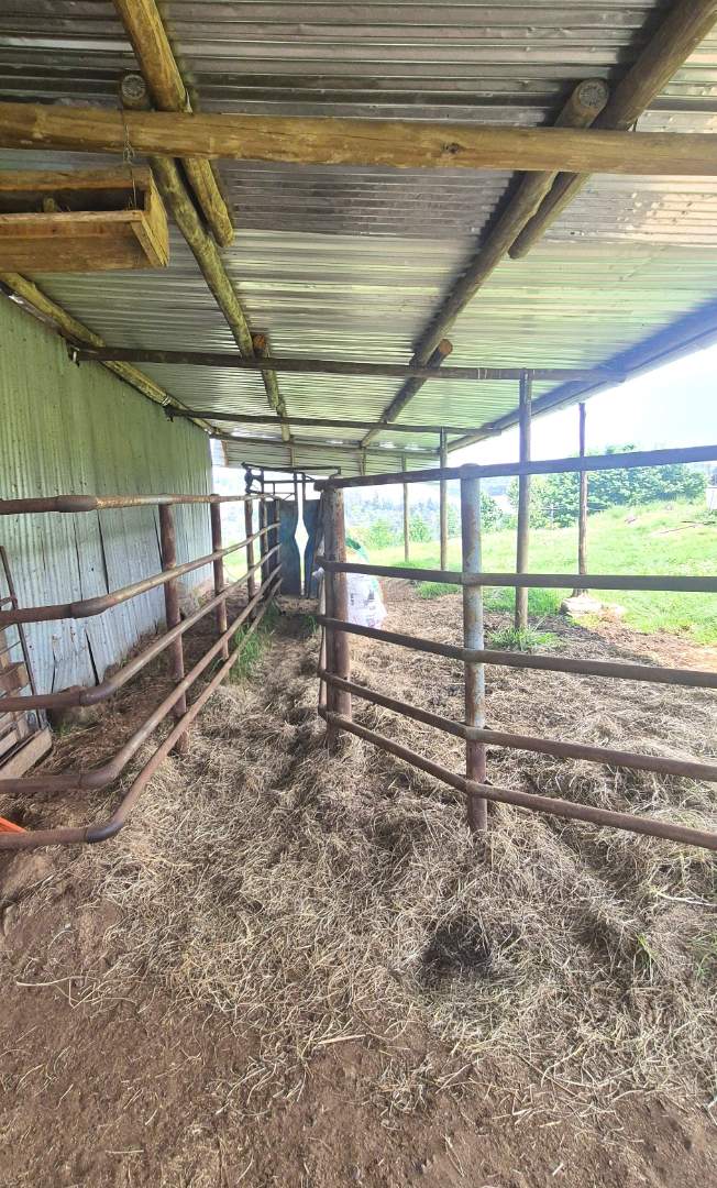 4 Bedroom Property for Sale in Currys Post KwaZulu-Natal