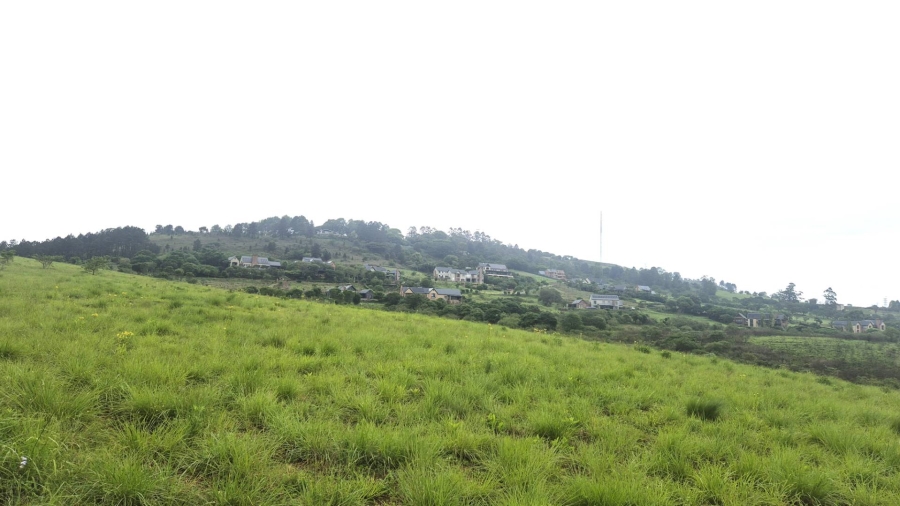 0 Bedroom Property for Sale in Alverstone KwaZulu-Natal