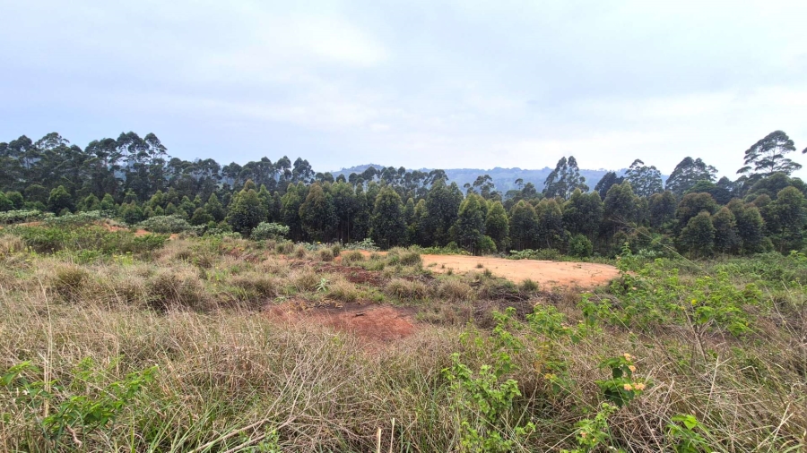 0 Bedroom Property for Sale in Alverstone KwaZulu-Natal