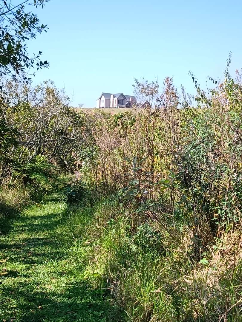 0 Bedroom Property for Sale in Alverstone KwaZulu-Natal