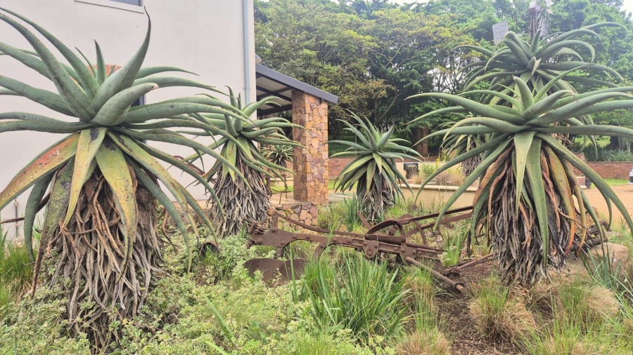 0 Bedroom Property for Sale in Alverstone KwaZulu-Natal