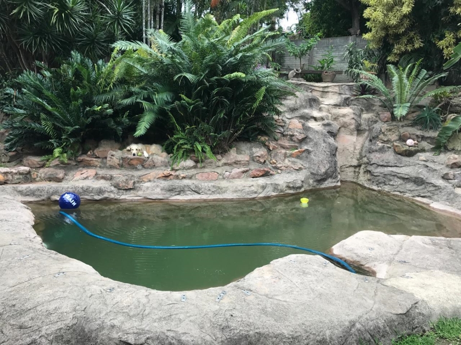 To Let 3 Bedroom Property for Rent in Northdene KwaZulu-Natal