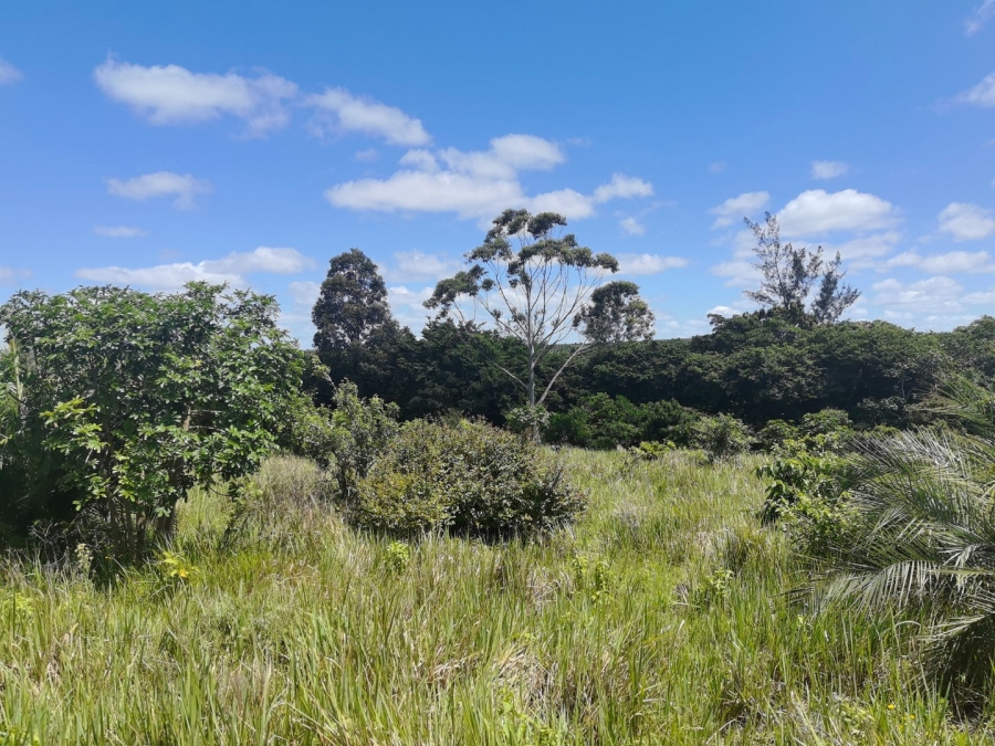 Commercial Property for Sale in Mzingazi KwaZulu-Natal