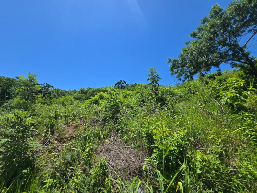 Commercial Property for Sale in Belvedere KwaZulu-Natal