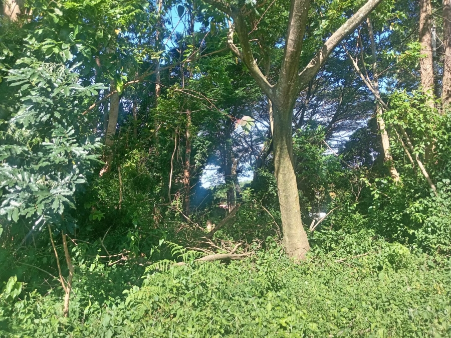 Commercial Property for Sale in Ongoye KwaZulu-Natal