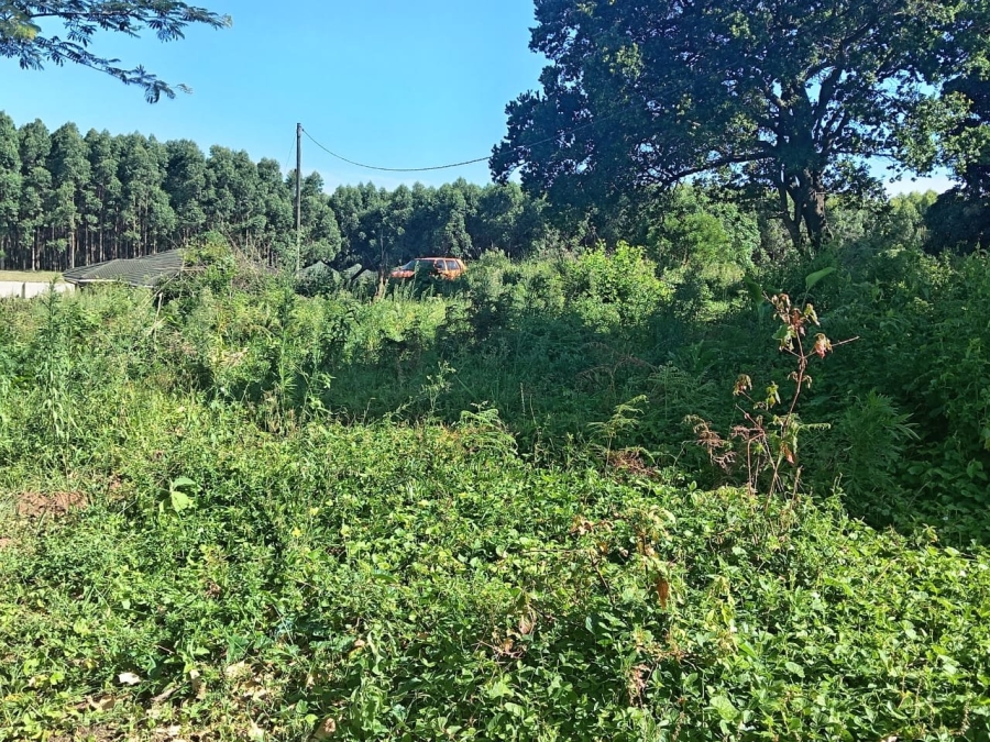 Commercial Property for Sale in Ongoye KwaZulu-Natal