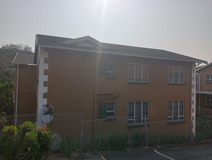 To Let 3 Bedroom Property for Rent in Westville KwaZulu-Natal
