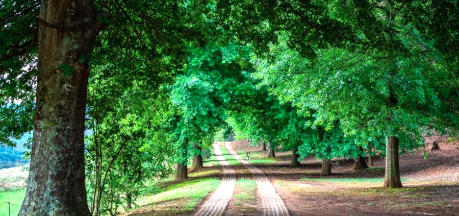 Commercial Property for Sale in Howick Rural KwaZulu-Natal