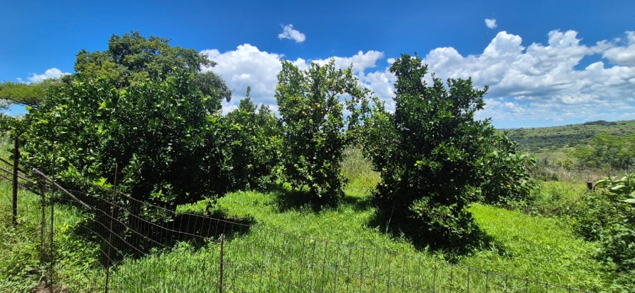 Commercial Property for Sale in Newcastle Rural KwaZulu-Natal