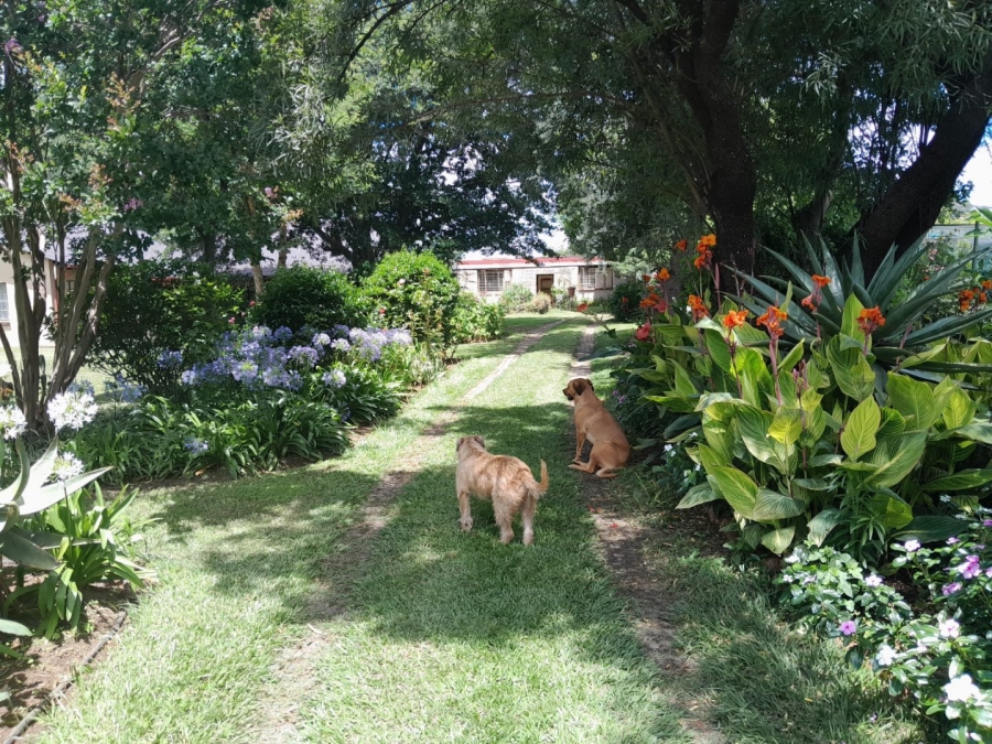 Commercial Property for Sale in Newcastle Rural KwaZulu-Natal