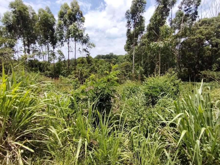 Commercial Property for Sale in Sea Park KwaZulu-Natal