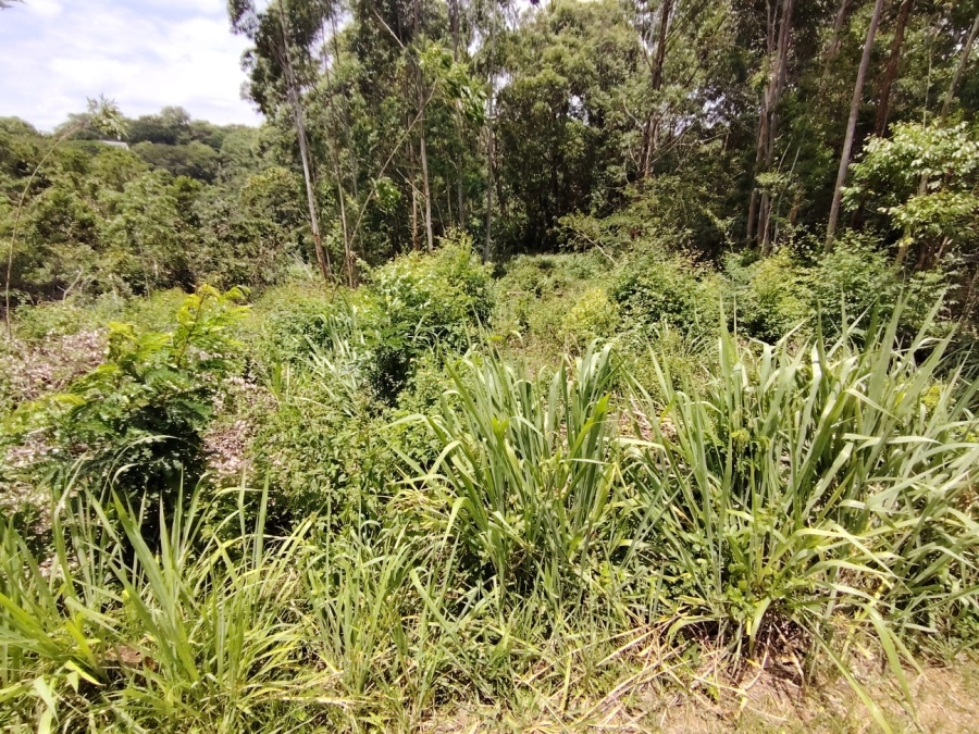 Commercial Property for Sale in Sea Park KwaZulu-Natal