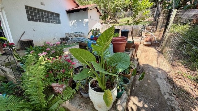 3 Bedroom Property for Sale in Trafalgar KwaZulu-Natal