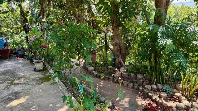 3 Bedroom Property for Sale in Trafalgar KwaZulu-Natal