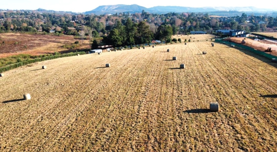 Commercial Property for Sale in Leonard KwaZulu-Natal