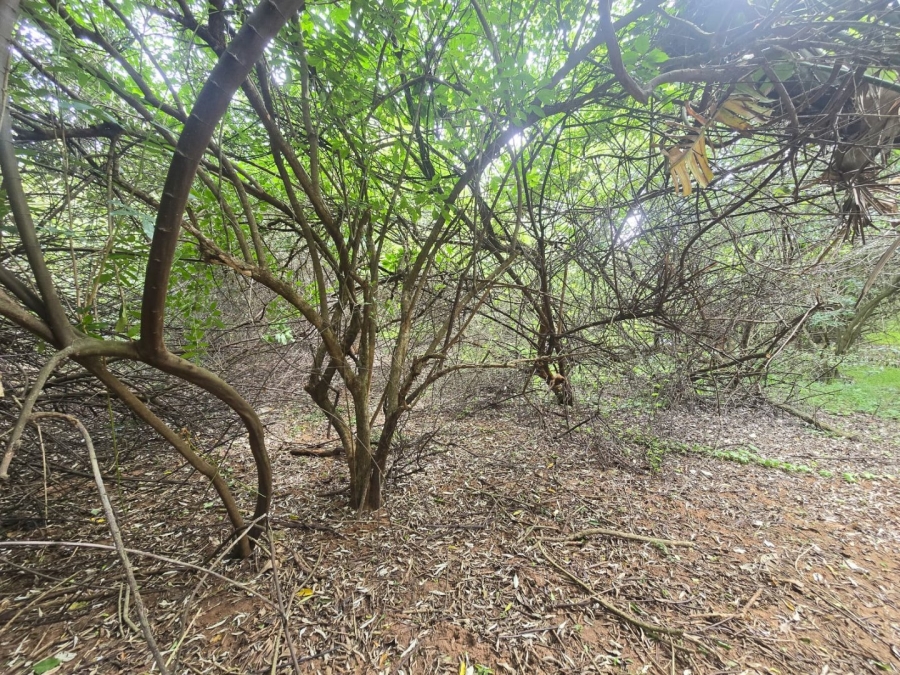 Commercial Property for Sale in Simbithi Eco Estate KwaZulu-Natal