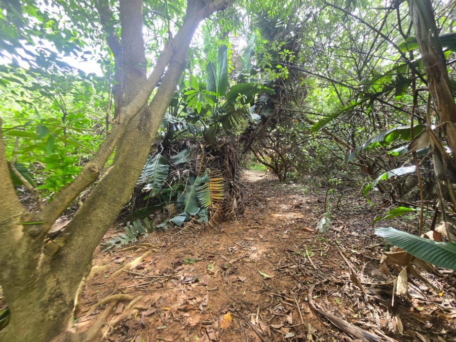 Commercial Property for Sale in Simbithi Eco Estate KwaZulu-Natal