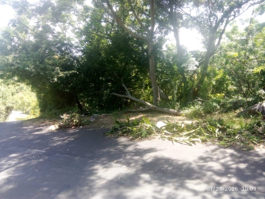 Commercial Property for Sale in Illovo Glen KwaZulu-Natal