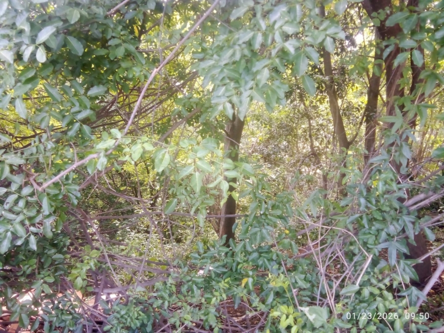 Commercial Property for Sale in Illovo Glen KwaZulu-Natal