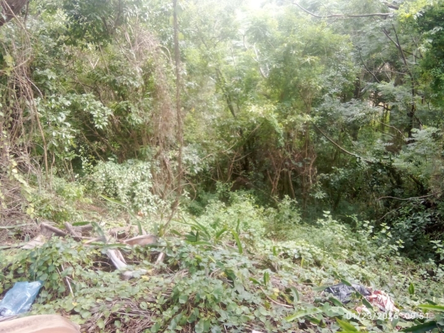 Commercial Property for Sale in Illovo Glen KwaZulu-Natal