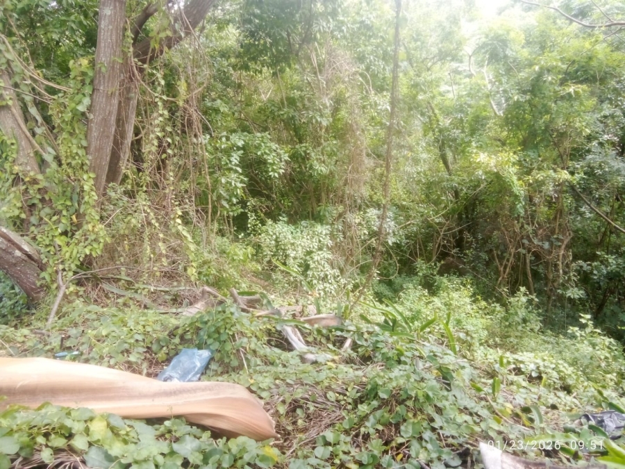 Commercial Property for Sale in Illovo Glen KwaZulu-Natal