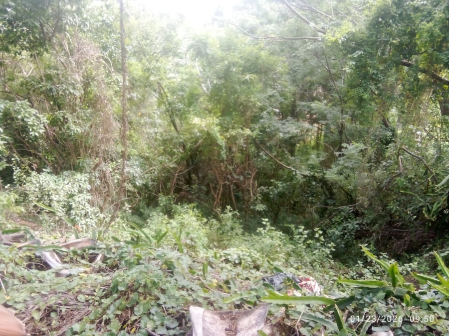 Commercial Property for Sale in Illovo Glen KwaZulu-Natal