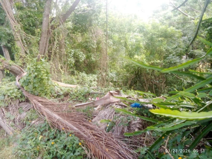 Commercial Property for Sale in Illovo Glen KwaZulu-Natal