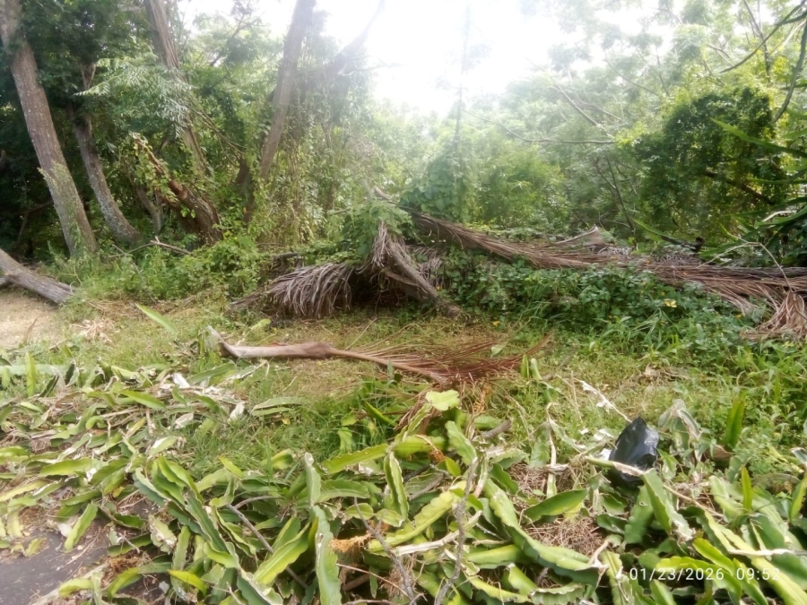 Commercial Property for Sale in Illovo Glen KwaZulu-Natal