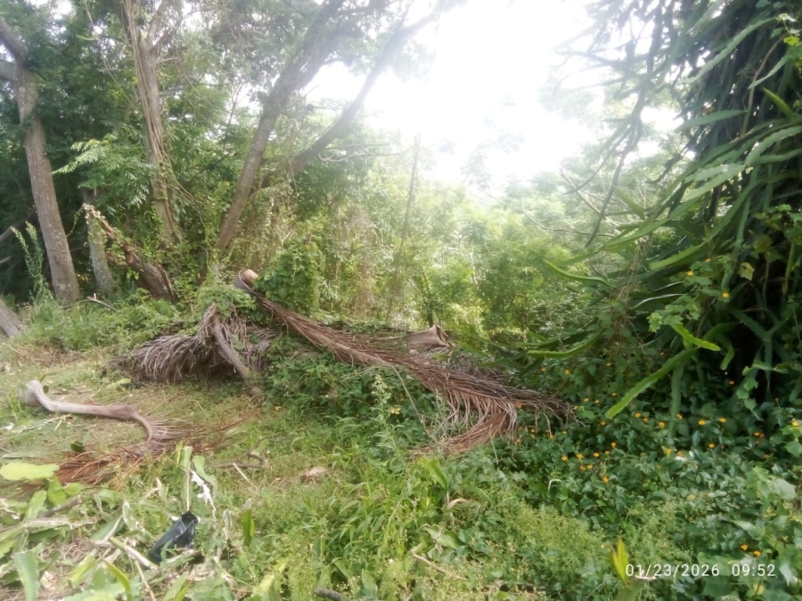 Commercial Property for Sale in Illovo Glen KwaZulu-Natal