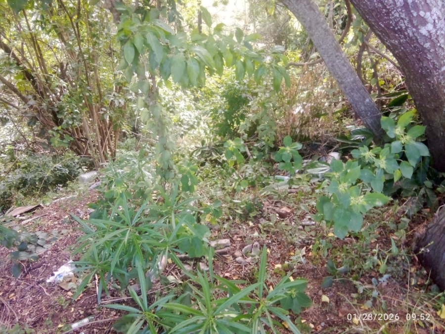 Commercial Property for Sale in Illovo Glen KwaZulu-Natal