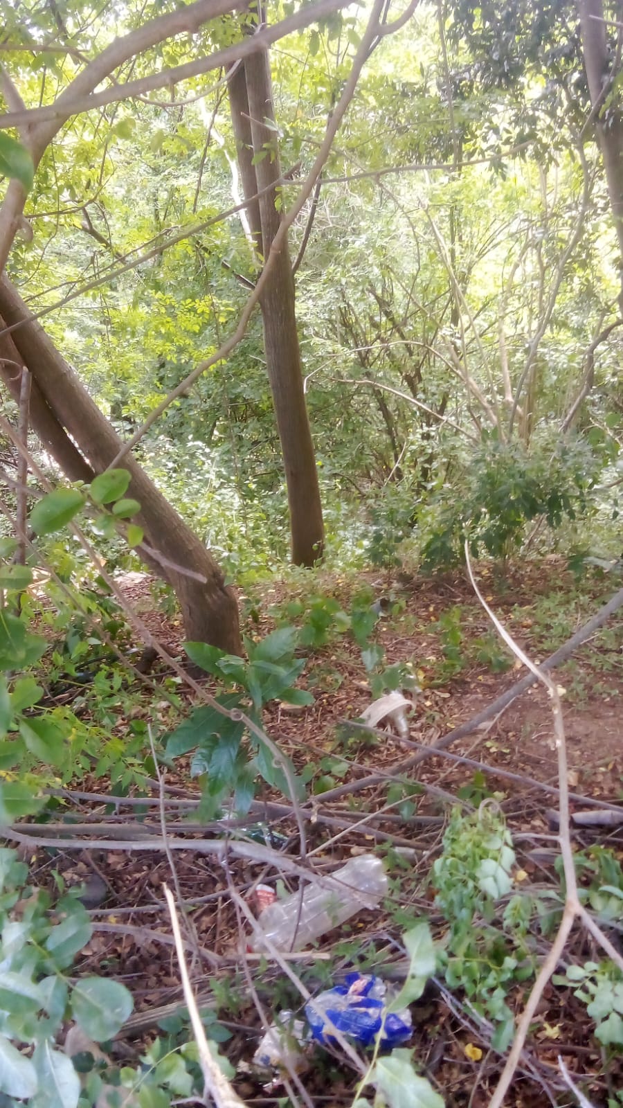 Commercial Property for Sale in Illovo Glen KwaZulu-Natal