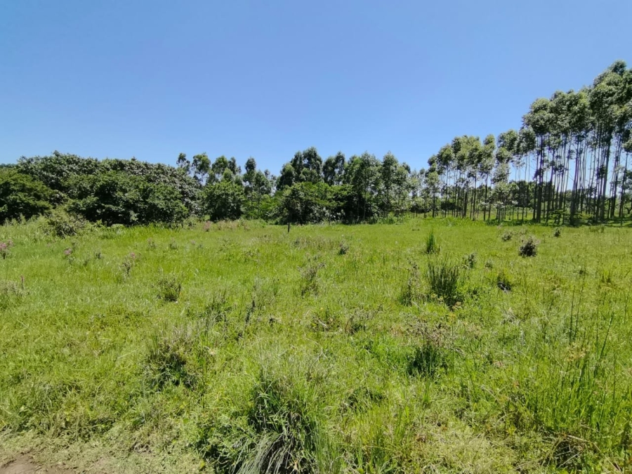 Commercial Property for Sale in Mzingazi KwaZulu-Natal