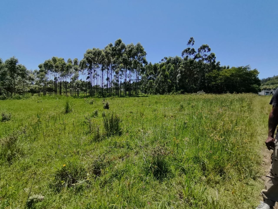 Commercial Property for Sale in Mzingazi KwaZulu-Natal