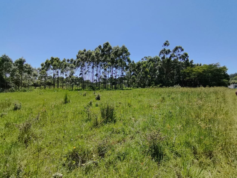 Commercial Property for Sale in Mzingazi KwaZulu-Natal