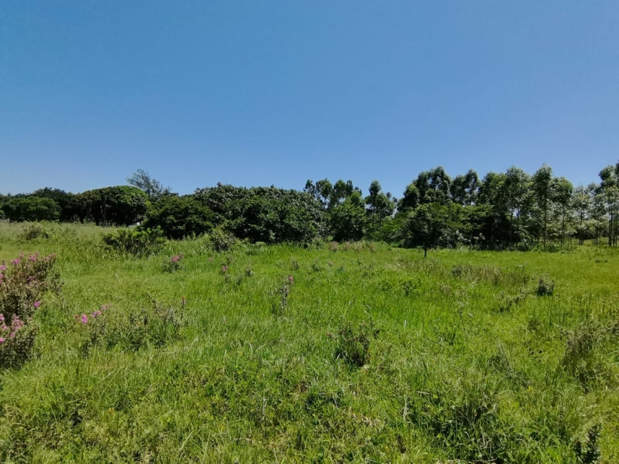 Commercial Property for Sale in Mzingazi KwaZulu-Natal