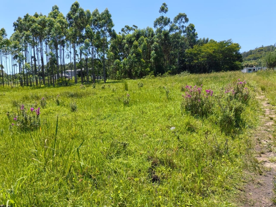 Commercial Property for Sale in Mzingazi KwaZulu-Natal