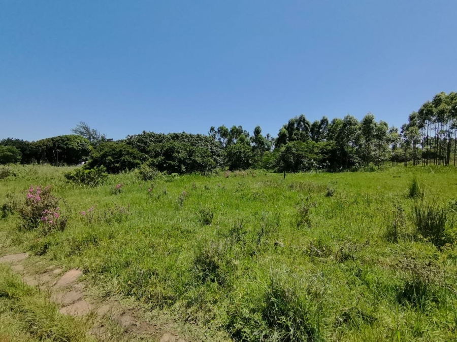 Commercial Property for Sale in Mzingazi KwaZulu-Natal