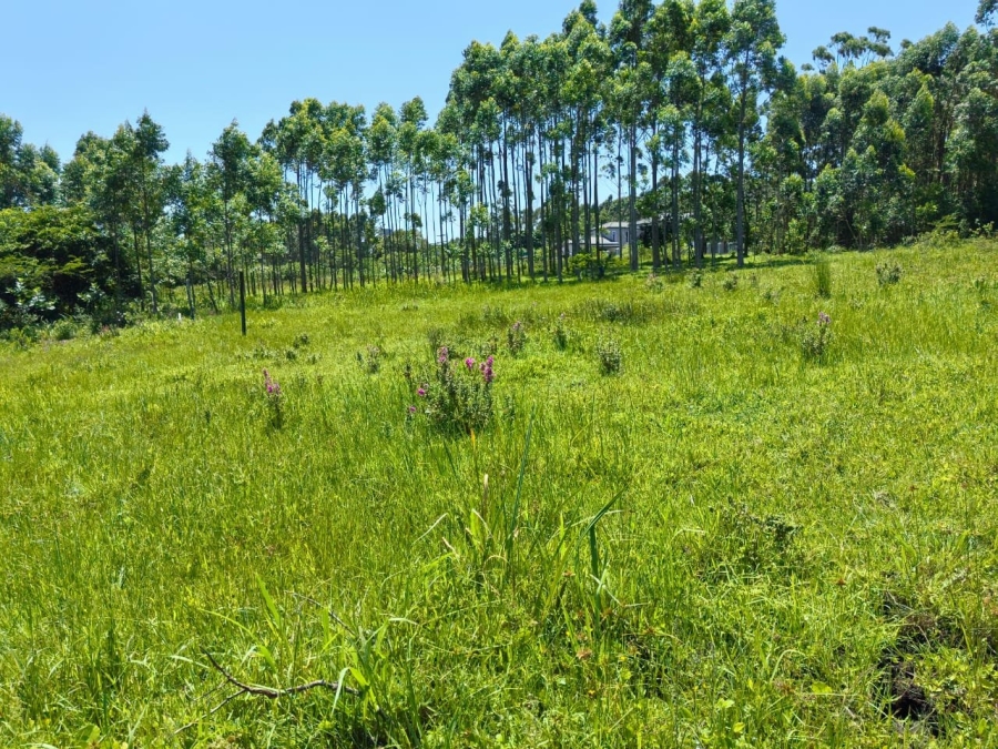 Commercial Property for Sale in Mzingazi KwaZulu-Natal