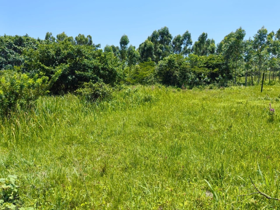 Commercial Property for Sale in Mzingazi KwaZulu-Natal