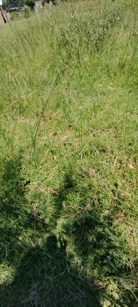 Commercial Property for Sale in Mzingazi KwaZulu-Natal