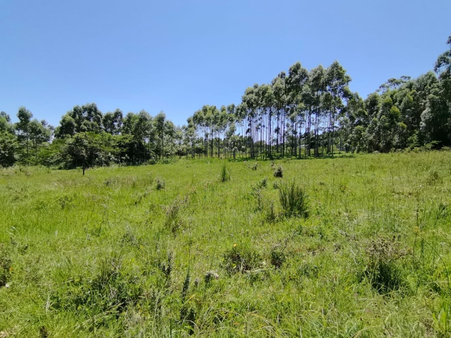 Commercial Property for Sale in Mzingazi KwaZulu-Natal