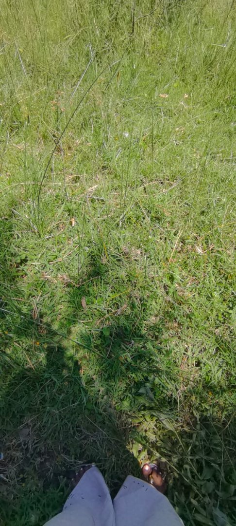 Commercial Property for Sale in Mzingazi KwaZulu-Natal