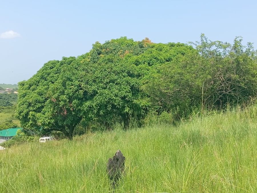 Commercial Property for Sale in Ongoye KwaZulu-Natal