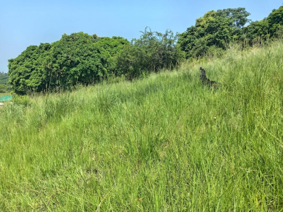 Commercial Property for Sale in Ongoye KwaZulu-Natal