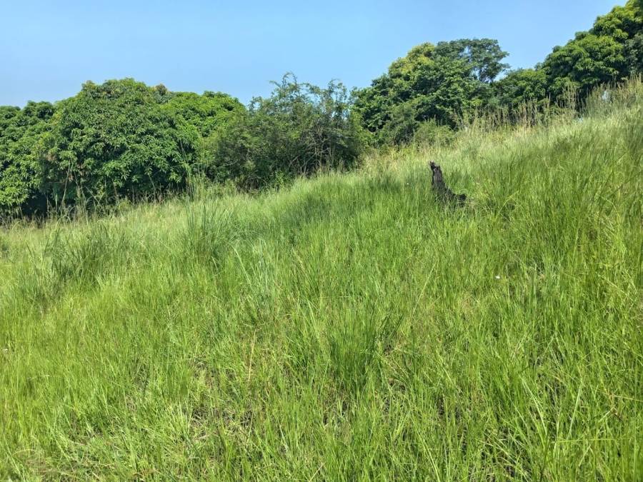 Commercial Property for Sale in Ongoye KwaZulu-Natal