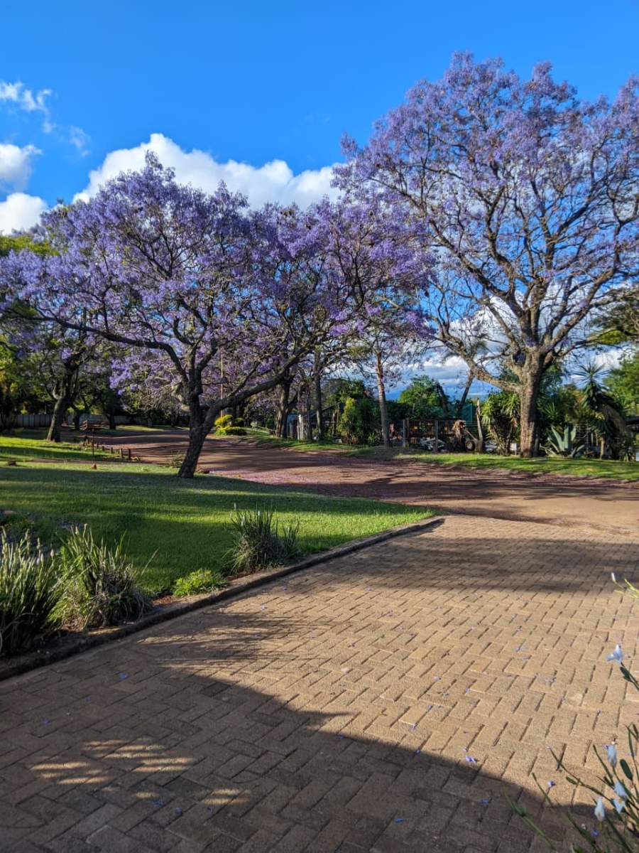 9 Bedroom Property for Sale in Signal Hill KwaZulu-Natal