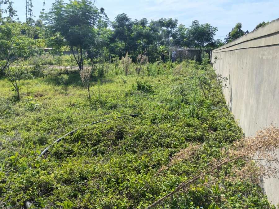 Commercial Property for Sale in Mzingazi KwaZulu-Natal