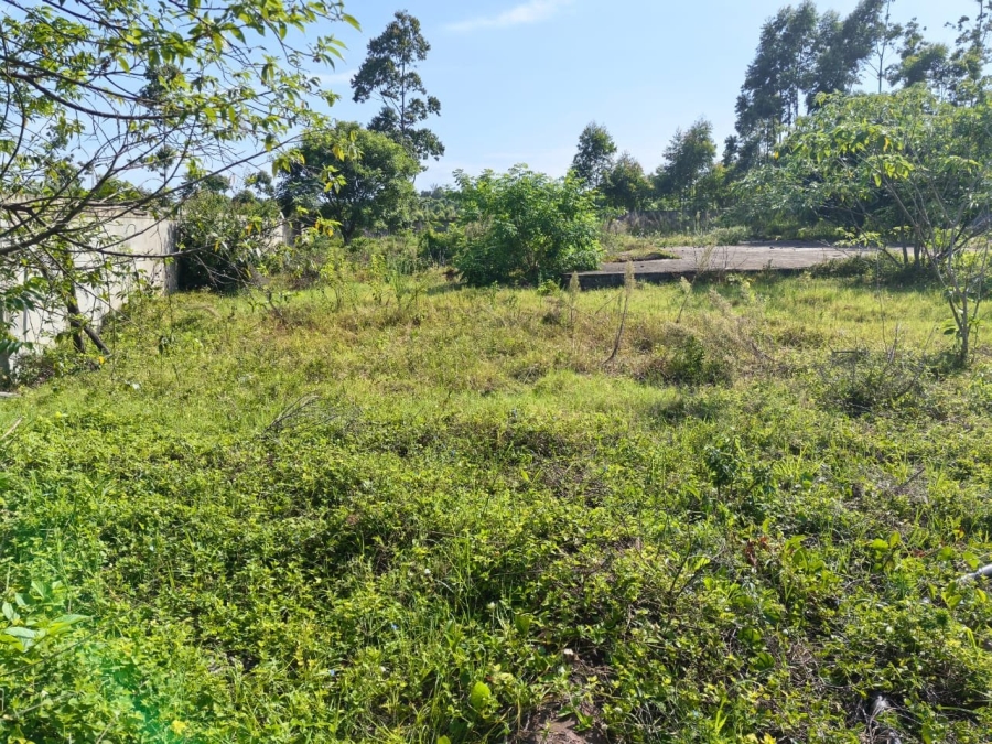 Commercial Property for Sale in Mzingazi KwaZulu-Natal