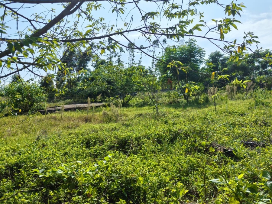 Commercial Property for Sale in Mzingazi KwaZulu-Natal